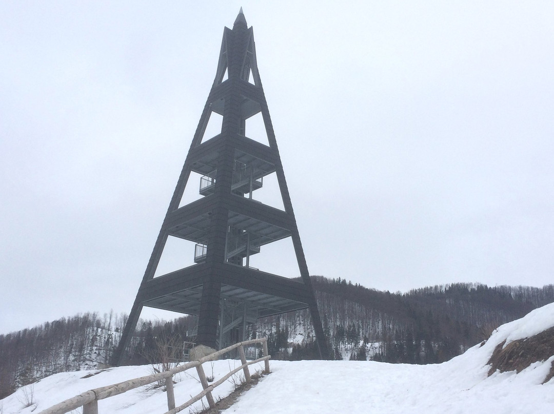 Lookout tower Heart of Terchová景点图片