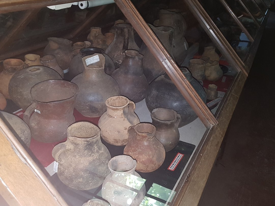 Museo Stom-Chiguayante必去景点