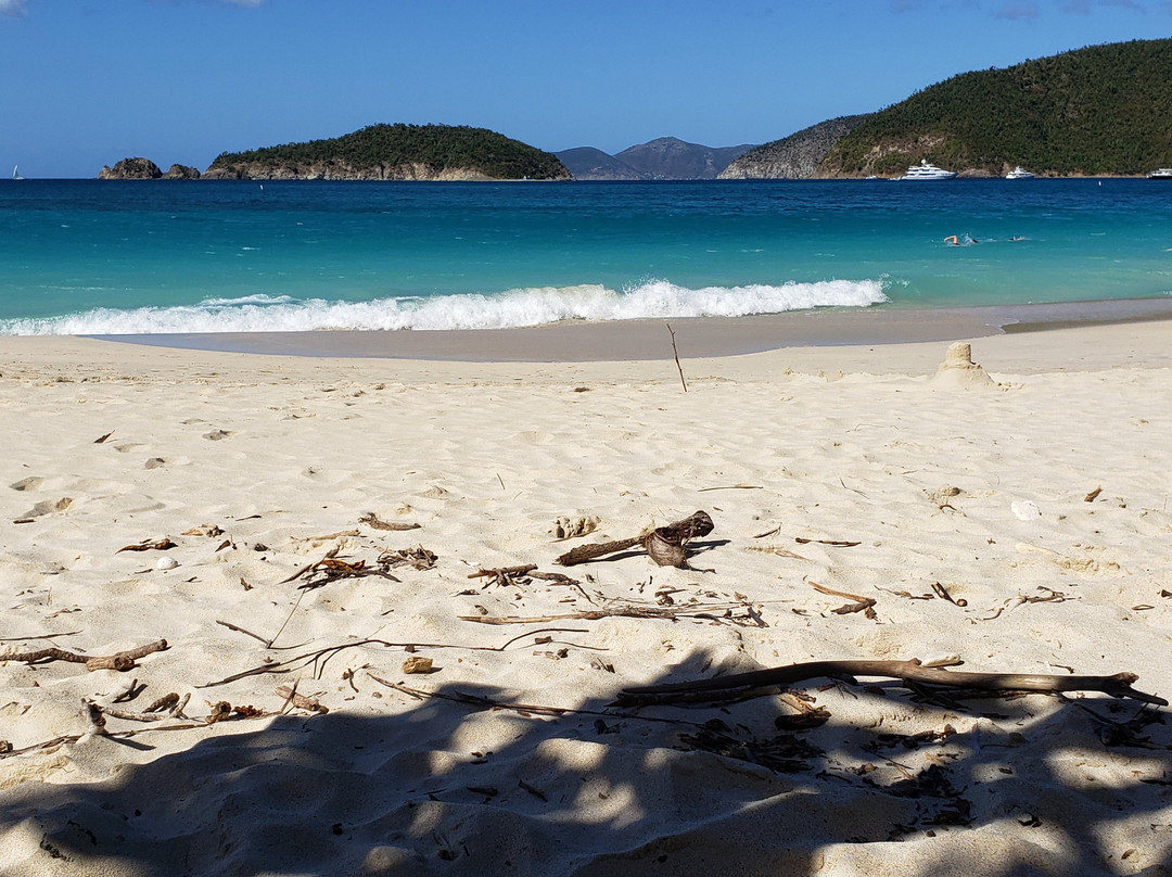 Snorkel the WetSide-夏洛特阿马利亚必去景点