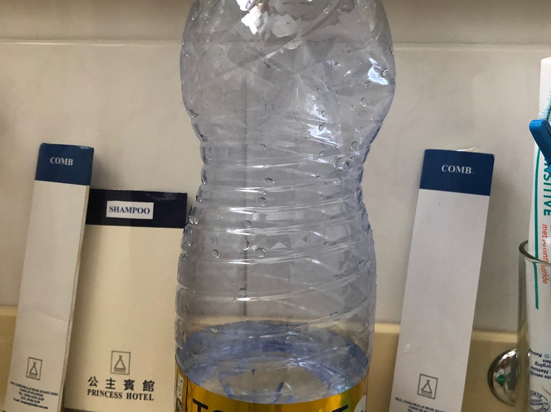Princess Hotel主图