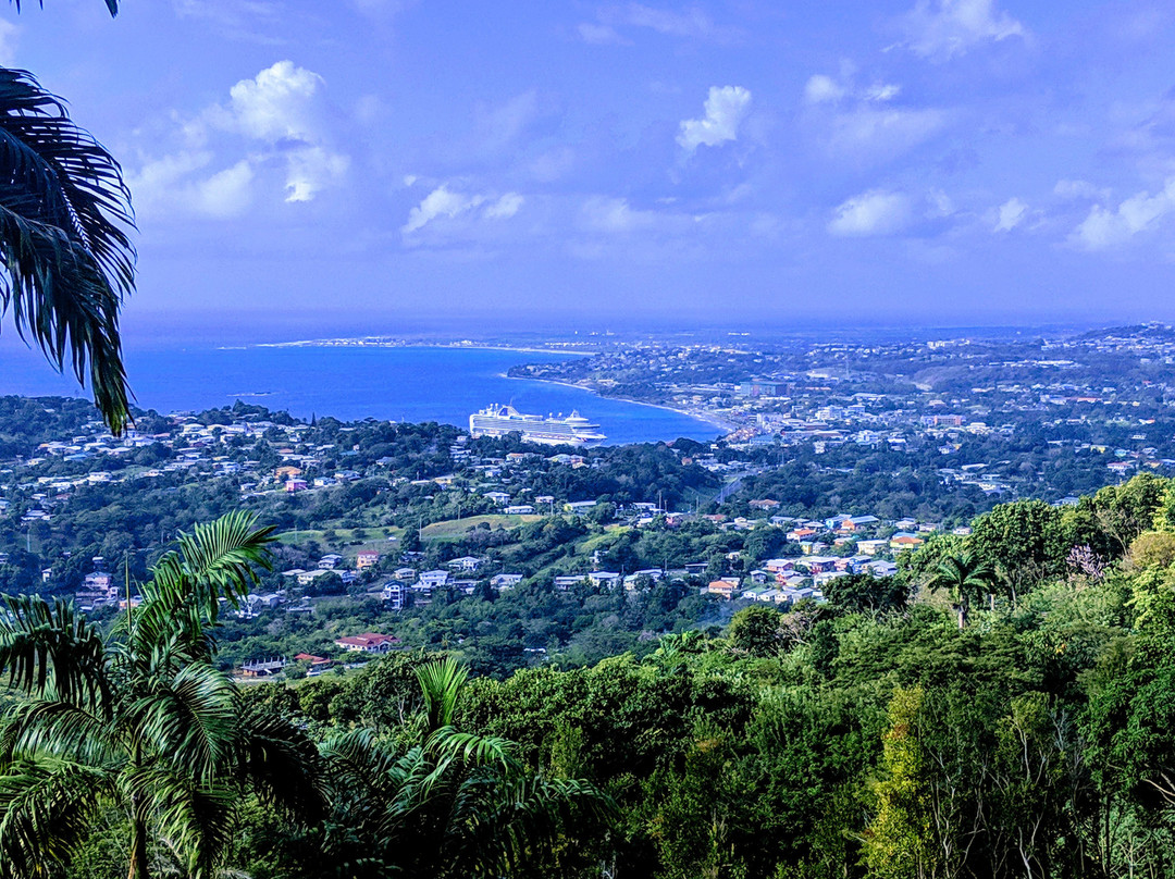 Tobago Off-Road Expeditions-斯卡伯勒必去景点