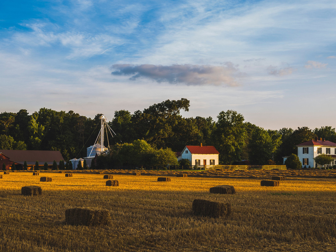 Prince George旅游攻略图片