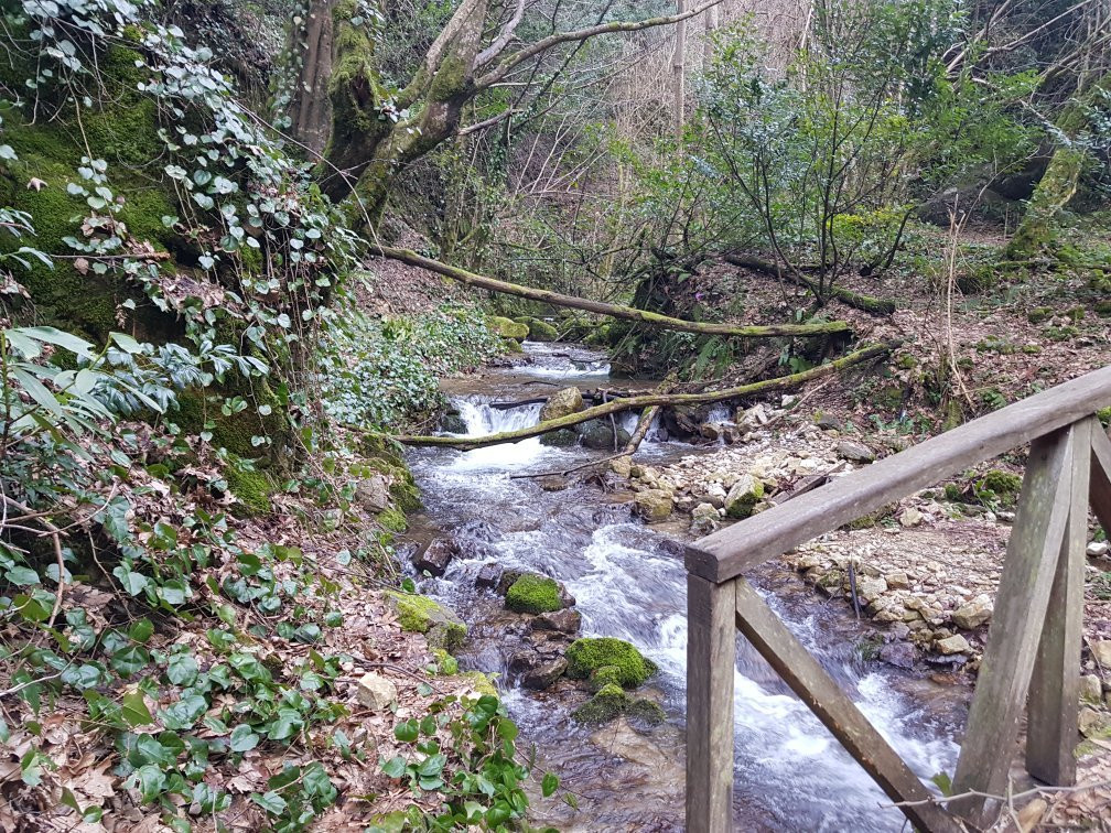 Aktas Waterfall-迪兹杰必去景点