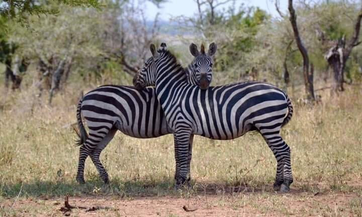 EpicTanzania Safaris-阿鲁沙必去景点