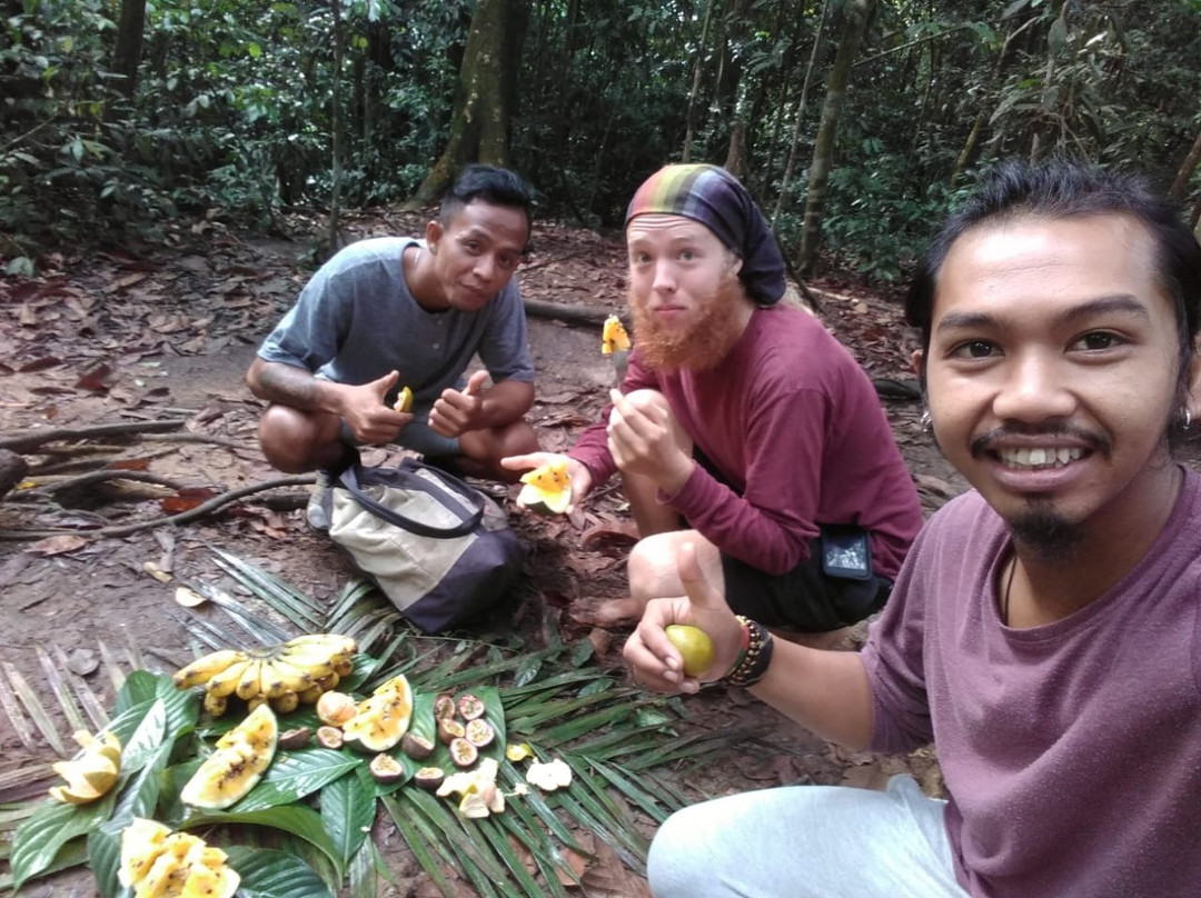 Bukit Lawang Explore景点图片