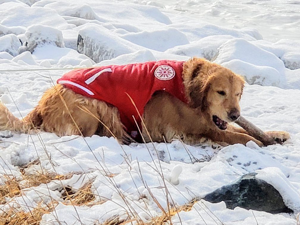 Ferry Park-Rock Hall必去景点