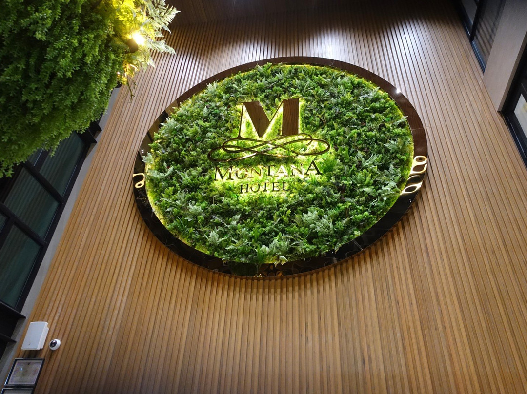 Montana Hotel主图