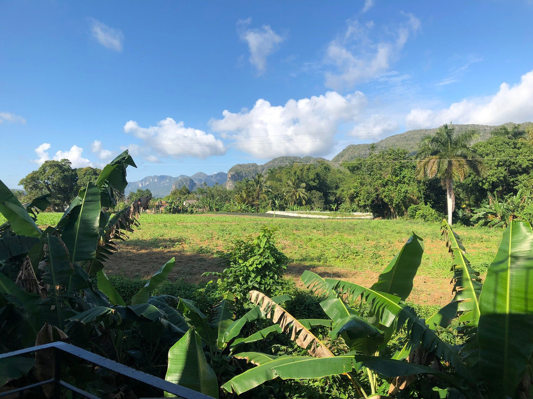 Villa Daniel y Estela主图