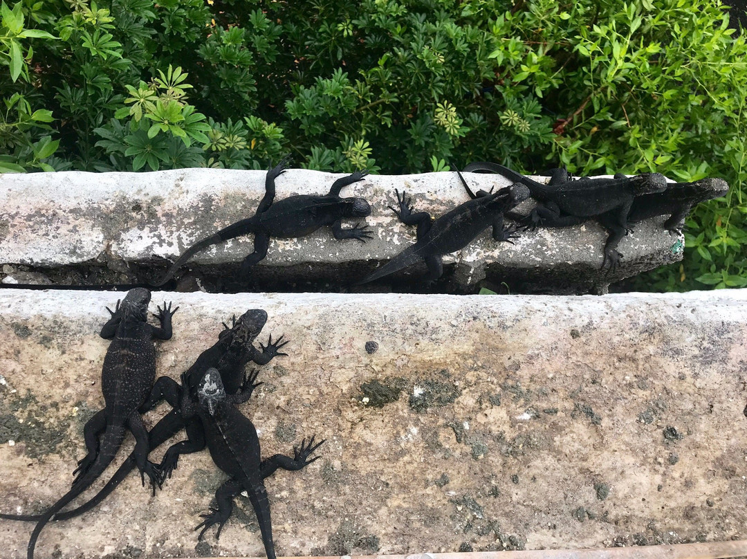 Estrella del Mar Hotel主图