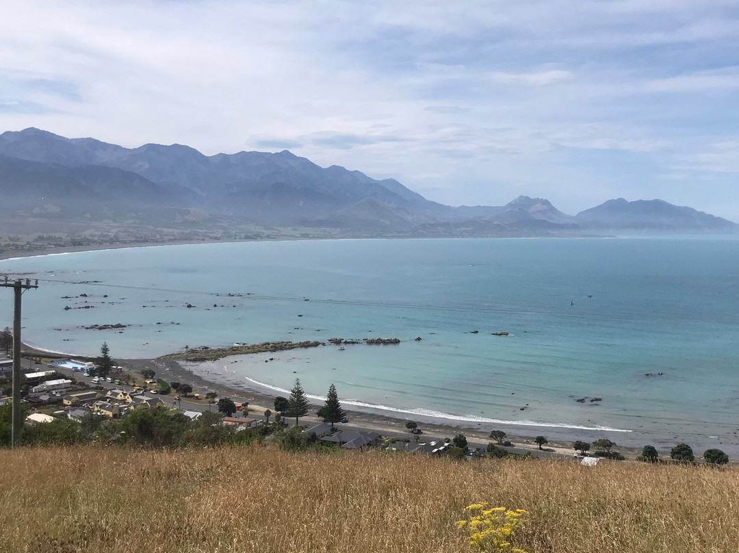 凯库拉爱德米拉科特汽车旅馆主图