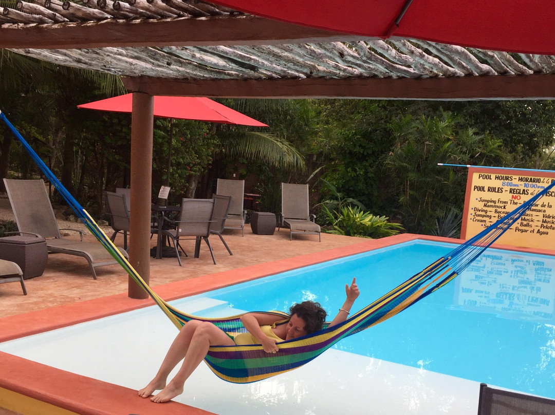 The Pickled Onion B&B and Restaurant主图