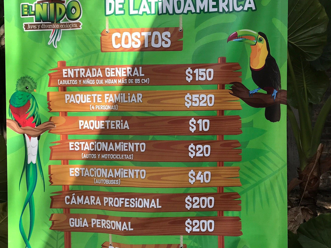 El Nido Aviario景点图片