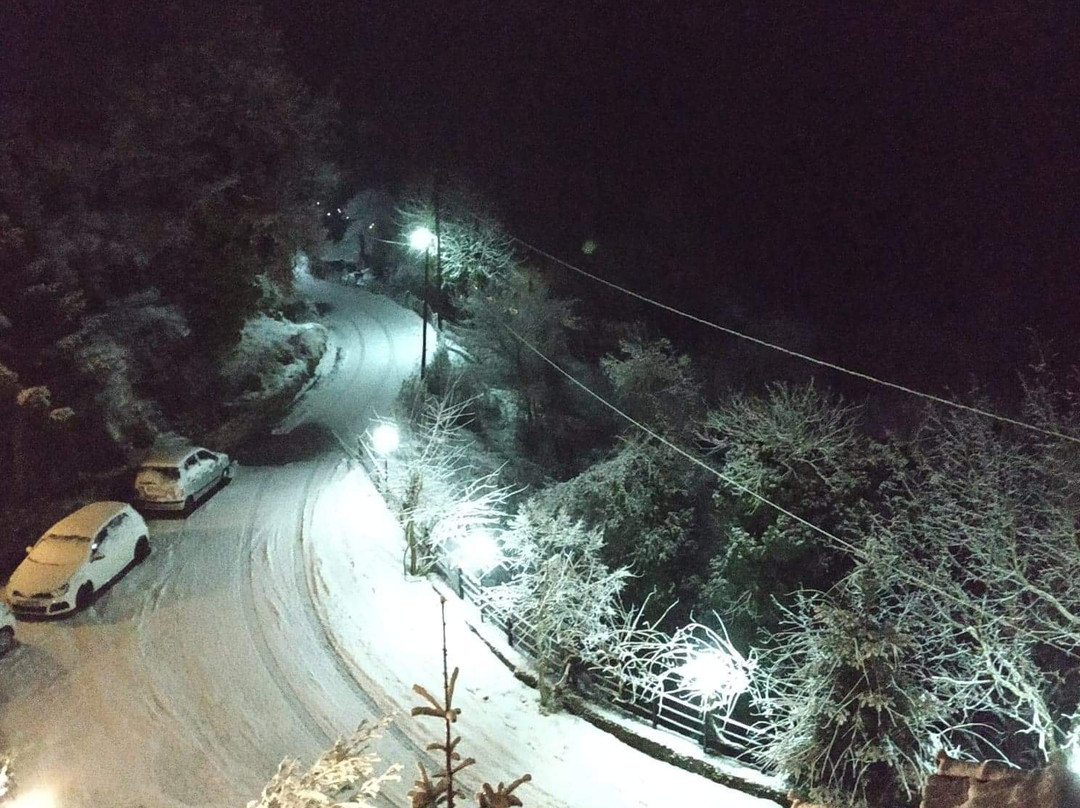 Villa Virginia Guesthouse主图