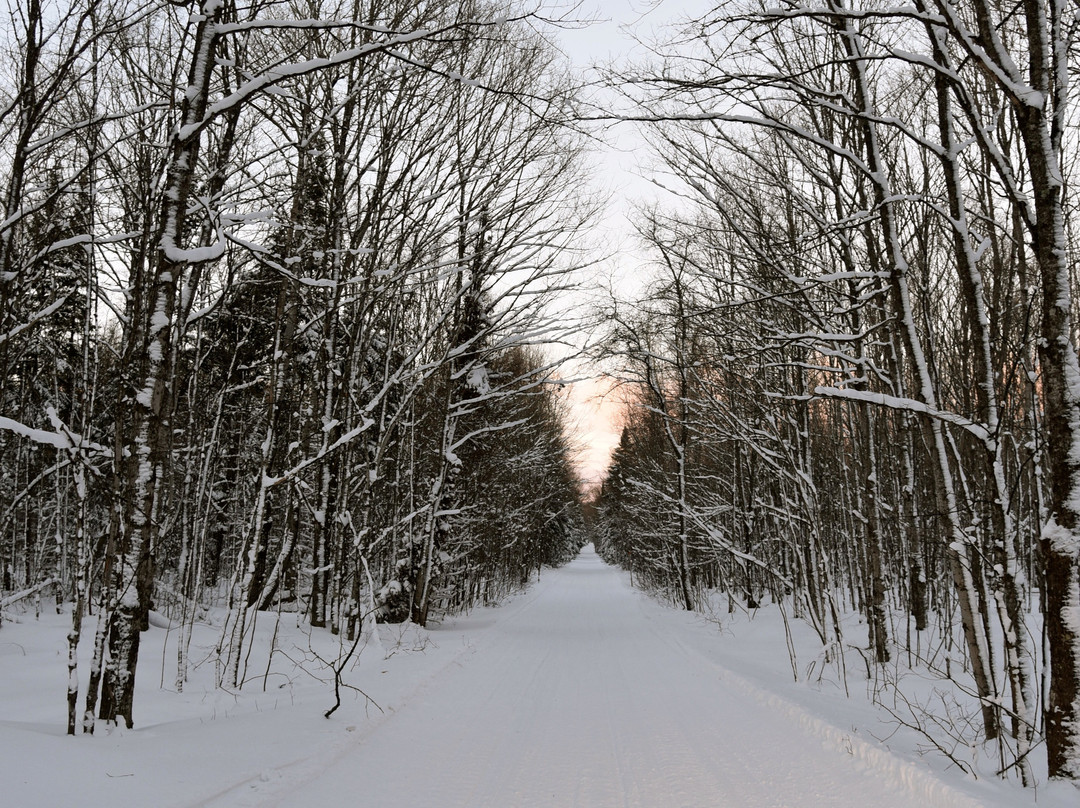 Munising Snowmobile Rentals-缪尼辛必去景点