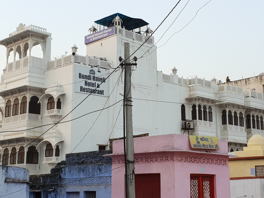 Hotel Bundi Haveli主图
