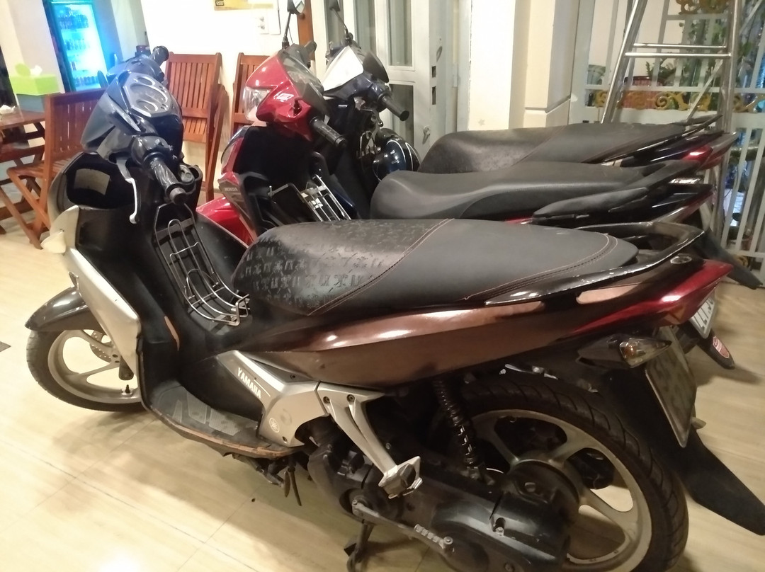 Starlight Guesthouse主图