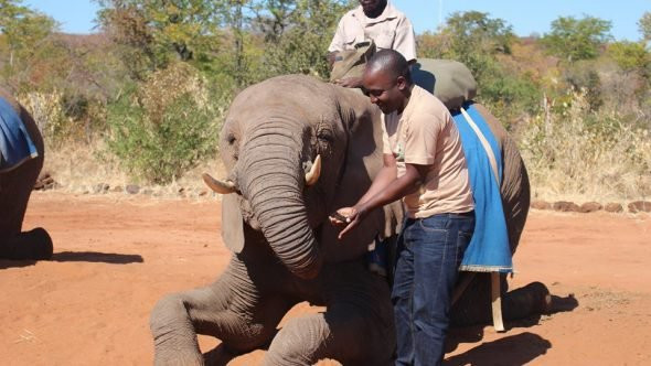 Africa Nziza Odysseys-吉佳利必去景点