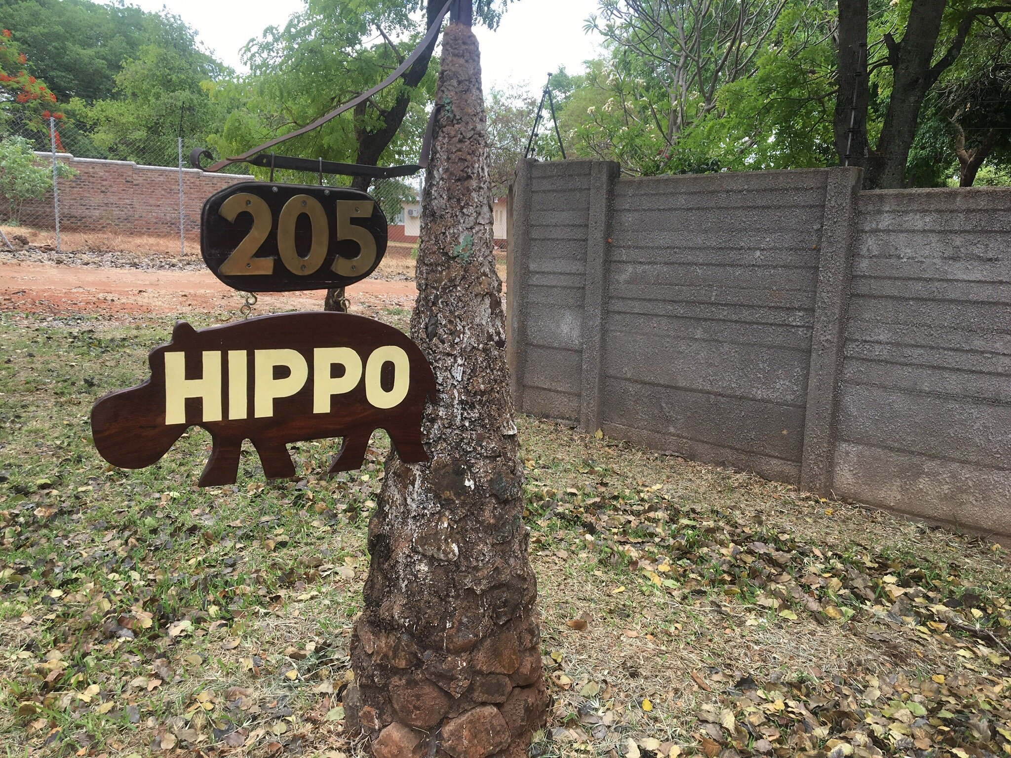 Hippo House-官方