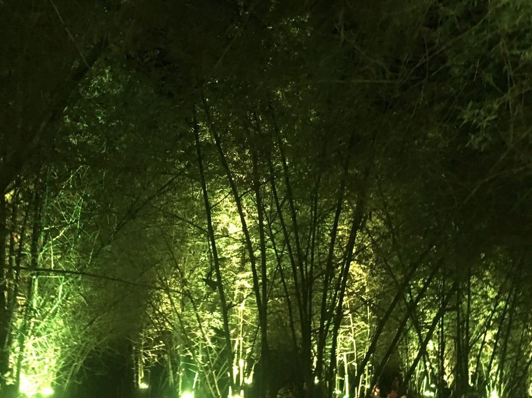 Bambusetum Park-Ligao必去景点