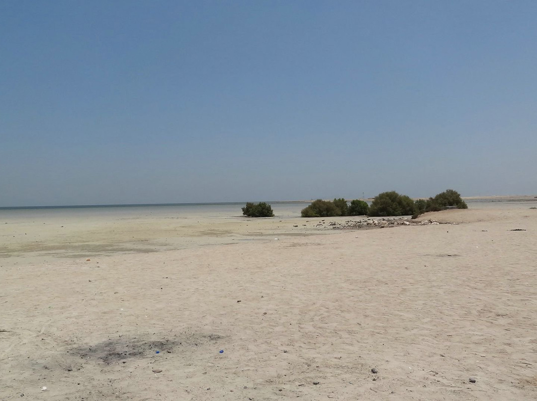 Farkeh Beach-Al Khor必去景点