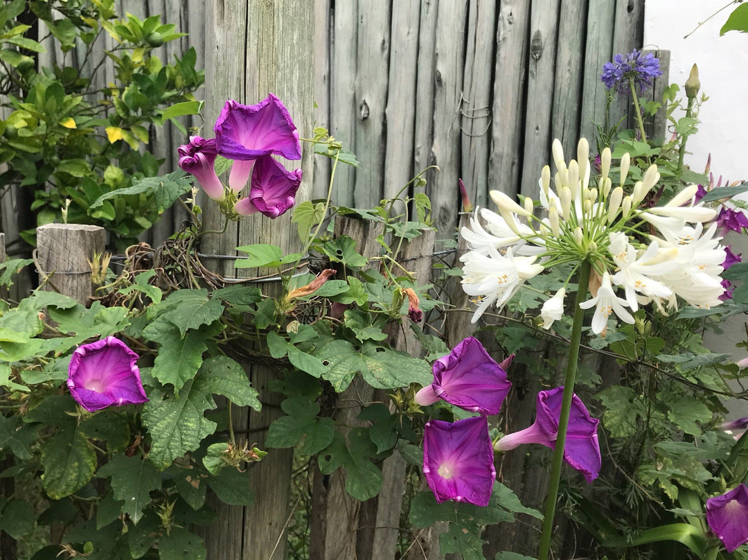 Black Gallery-Garzon必去景点