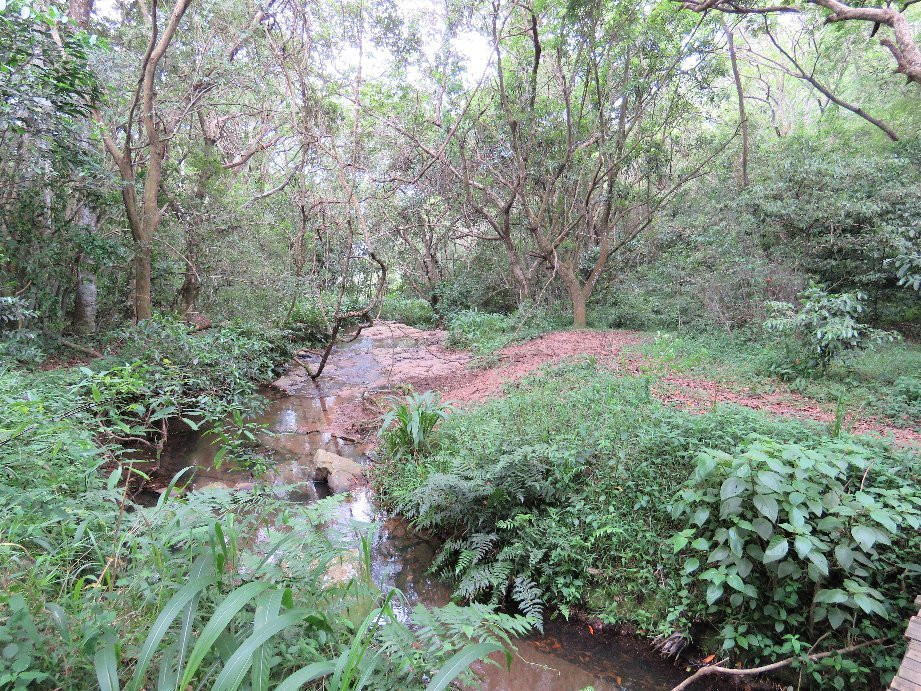 Krantzkloof Nature Reserve景点图片