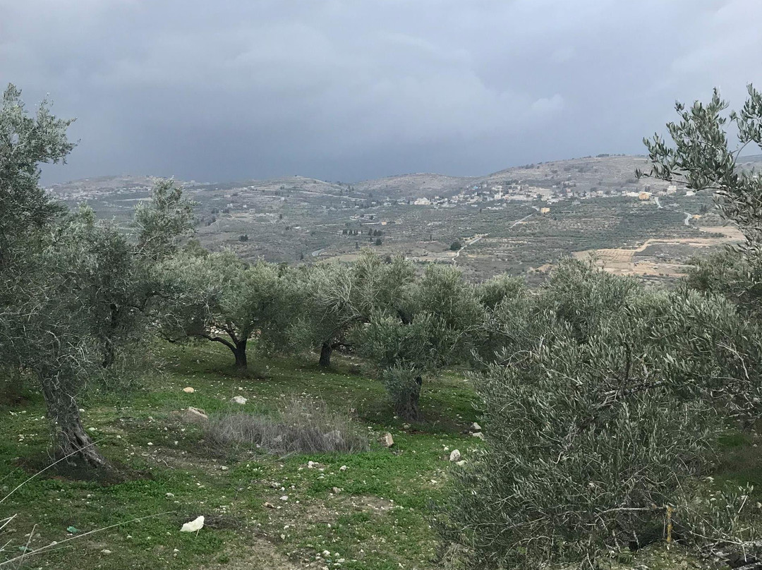 Shomron National Park-Sebastia必去景点