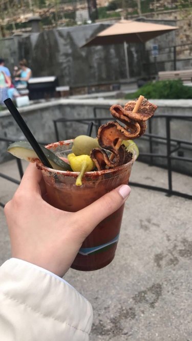 Grand Colorado on Peak 8-portrait