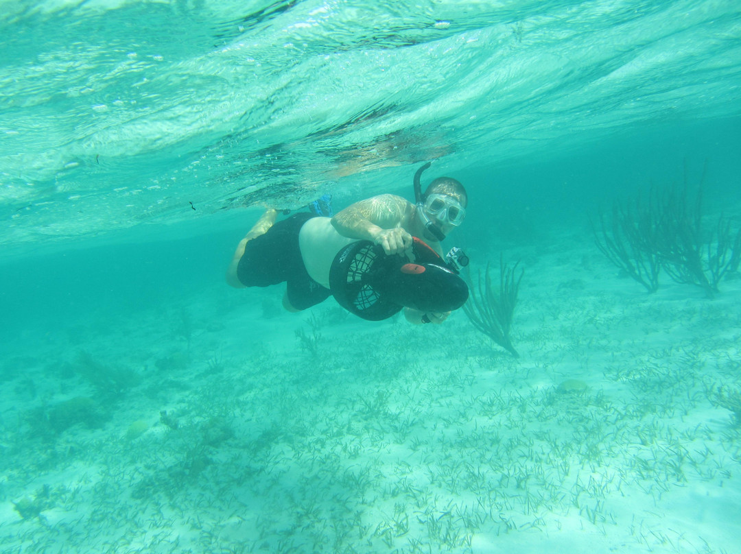 Webfooters Rentals-格雷斯湾必去景点