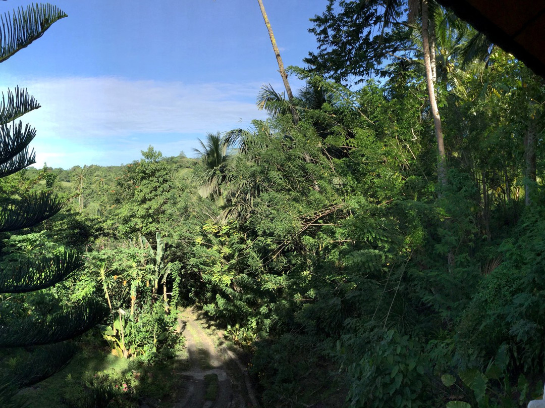 Tangkoko Sanctuary Villa主图