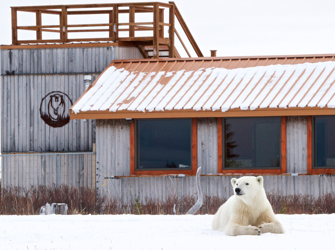 Nanuk Polar Bear Lodge by Churchill Wild