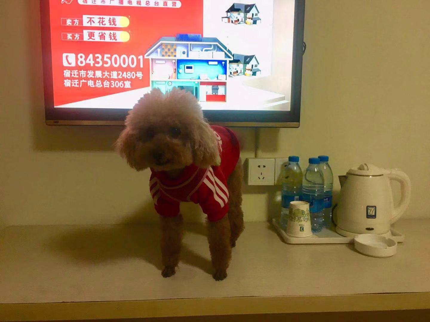 7天宿迁幸福路苏宁广场店-官方