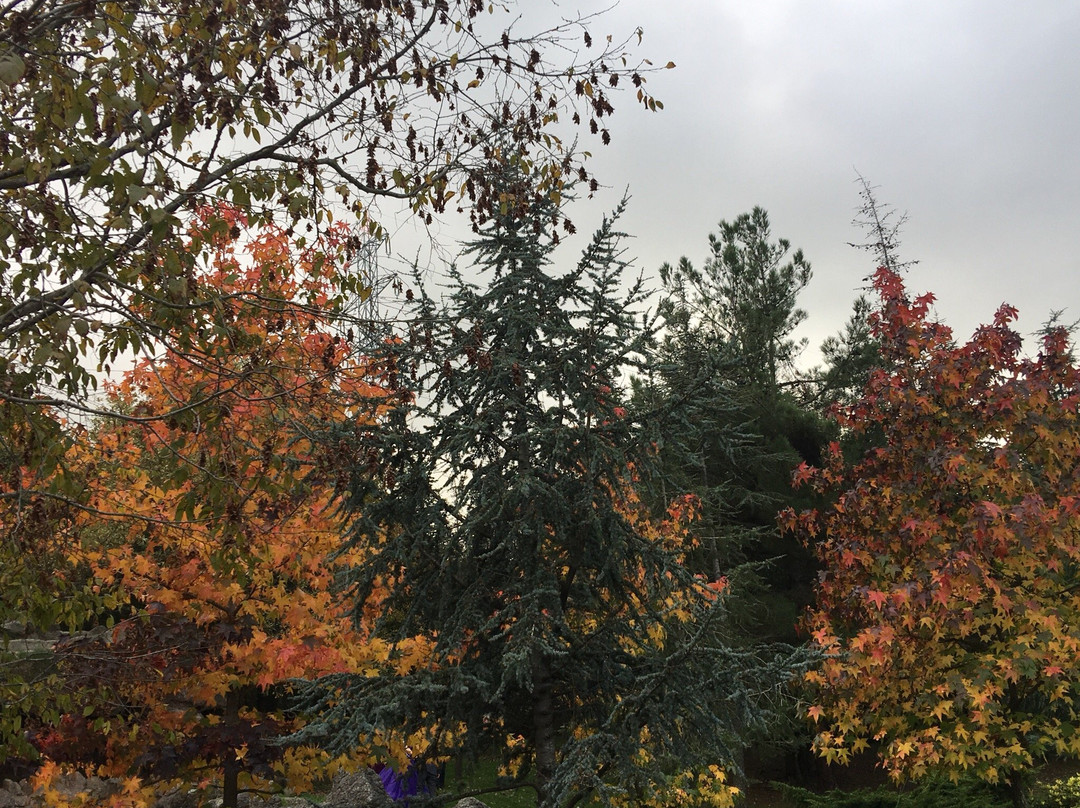 Bayrak Tepe Tabiat Parki-萨姆森必去景点