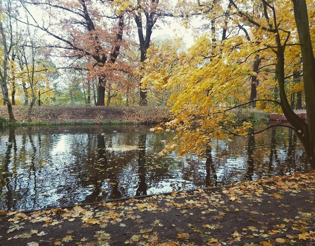 Museum Kanału Bydgoskiego景点图片