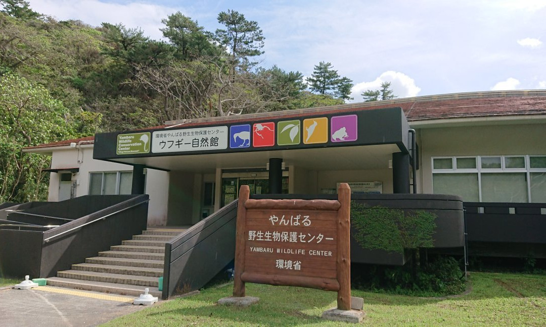Yambaru Wildlife Center Ufugi Nature Museum景点图片