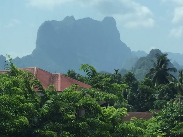 Hotel Perfect Hpa-An-酒店景观