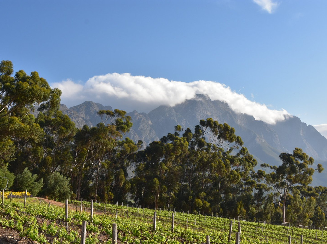 La Petite Ferme主图