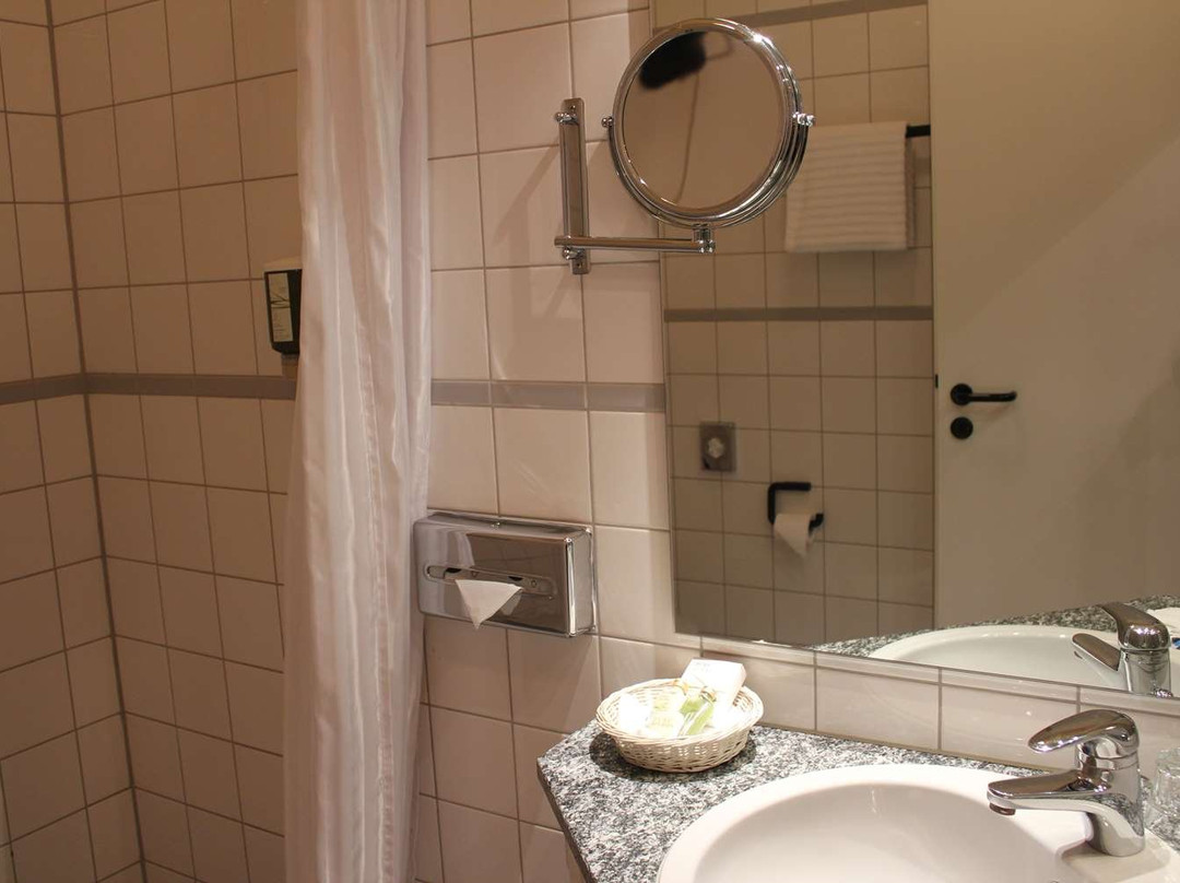 杜密兹尔奥斯特里斯酒店主图