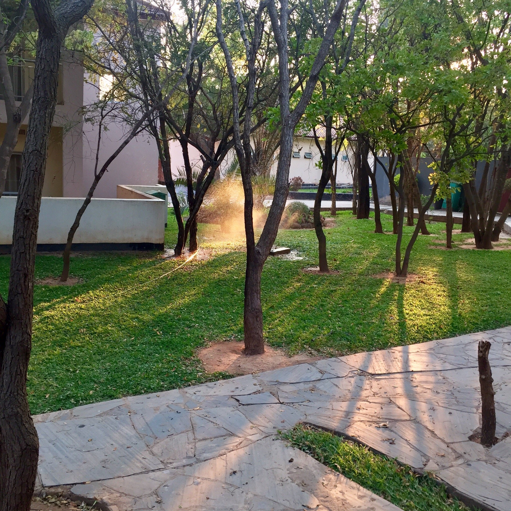 Chamba Valley Exotic Hotel-官方