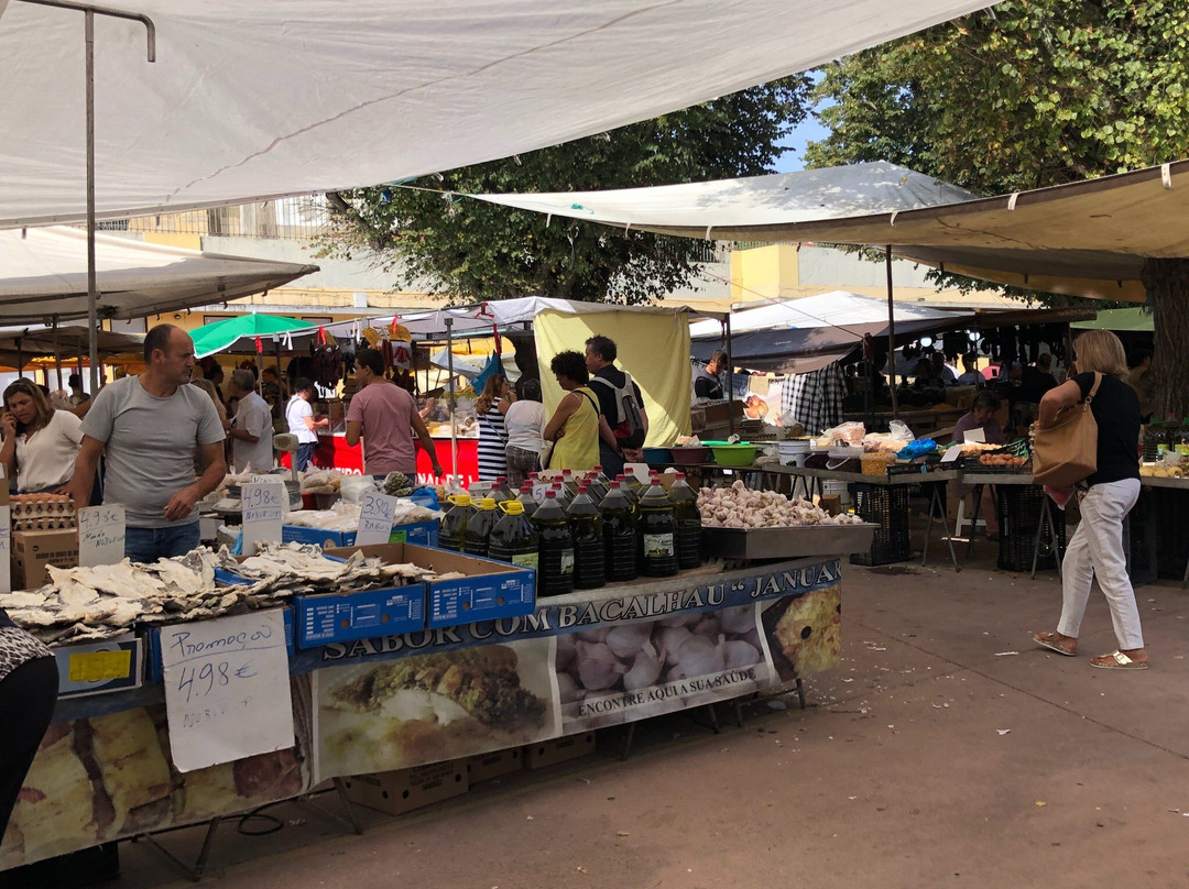 Mercado Municipal do Engenheiro Duarte Pacheco景点图片