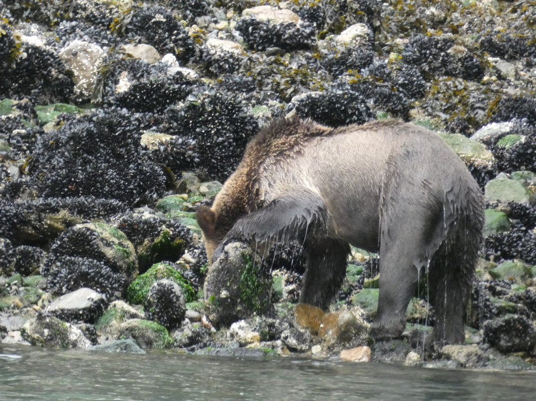 The Artists Point Bed, Breakfast and Phototours主图