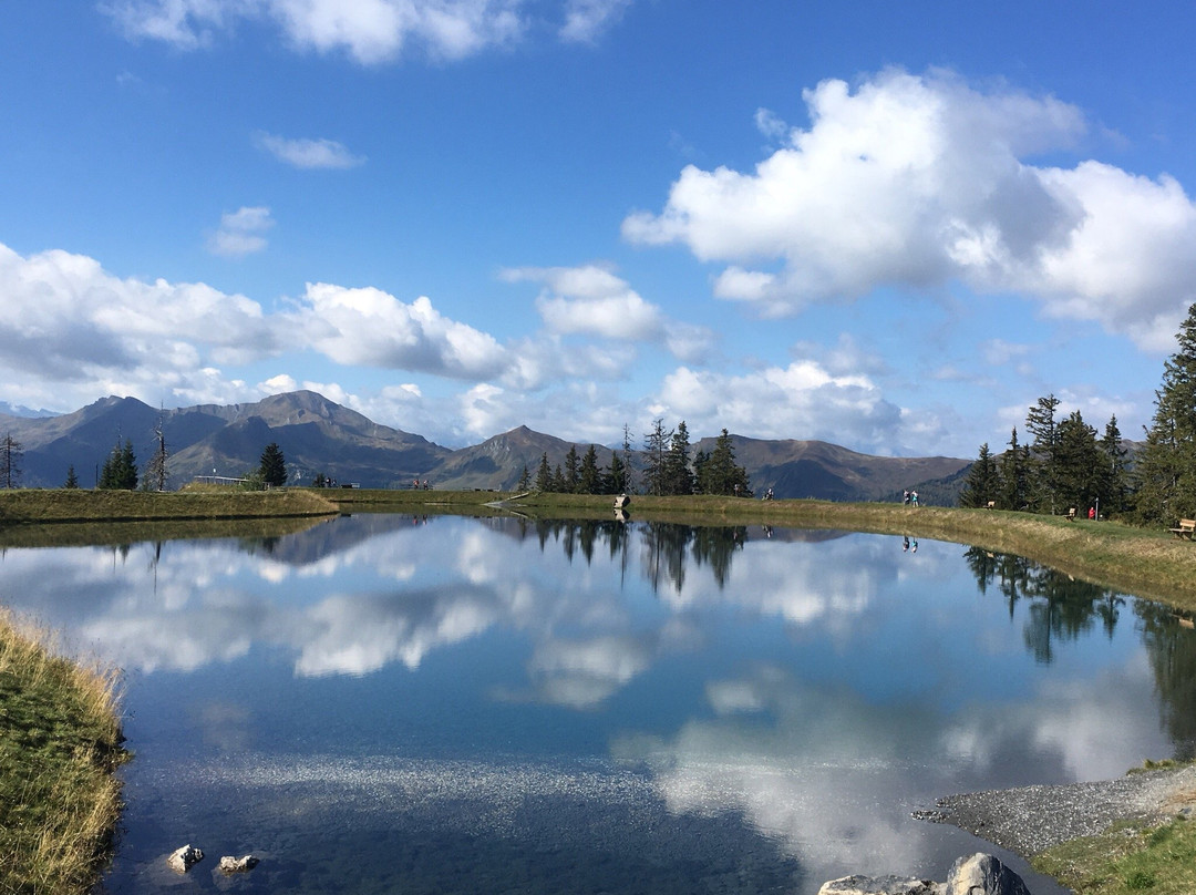 Barfussweg am Spiegelsee Fulseck景点图片
