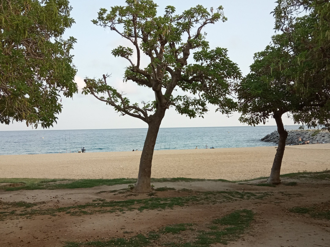 Playa del Callao-马塔罗必去景点