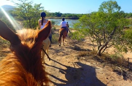 Horseback Safaris-玛洛斯帕克必去景点