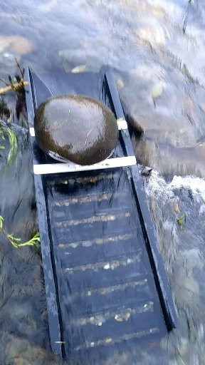 Prospect Yosemite-Briceburg必去景点