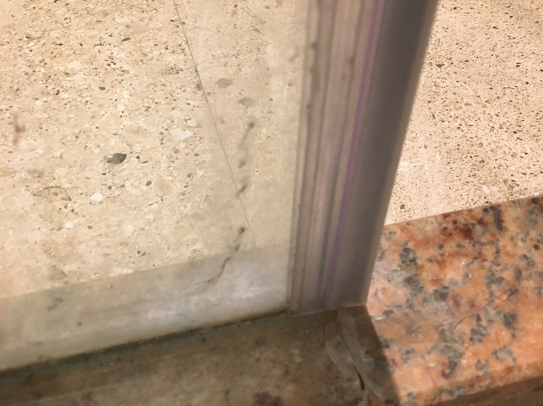 Tivoli Garden Resort主图