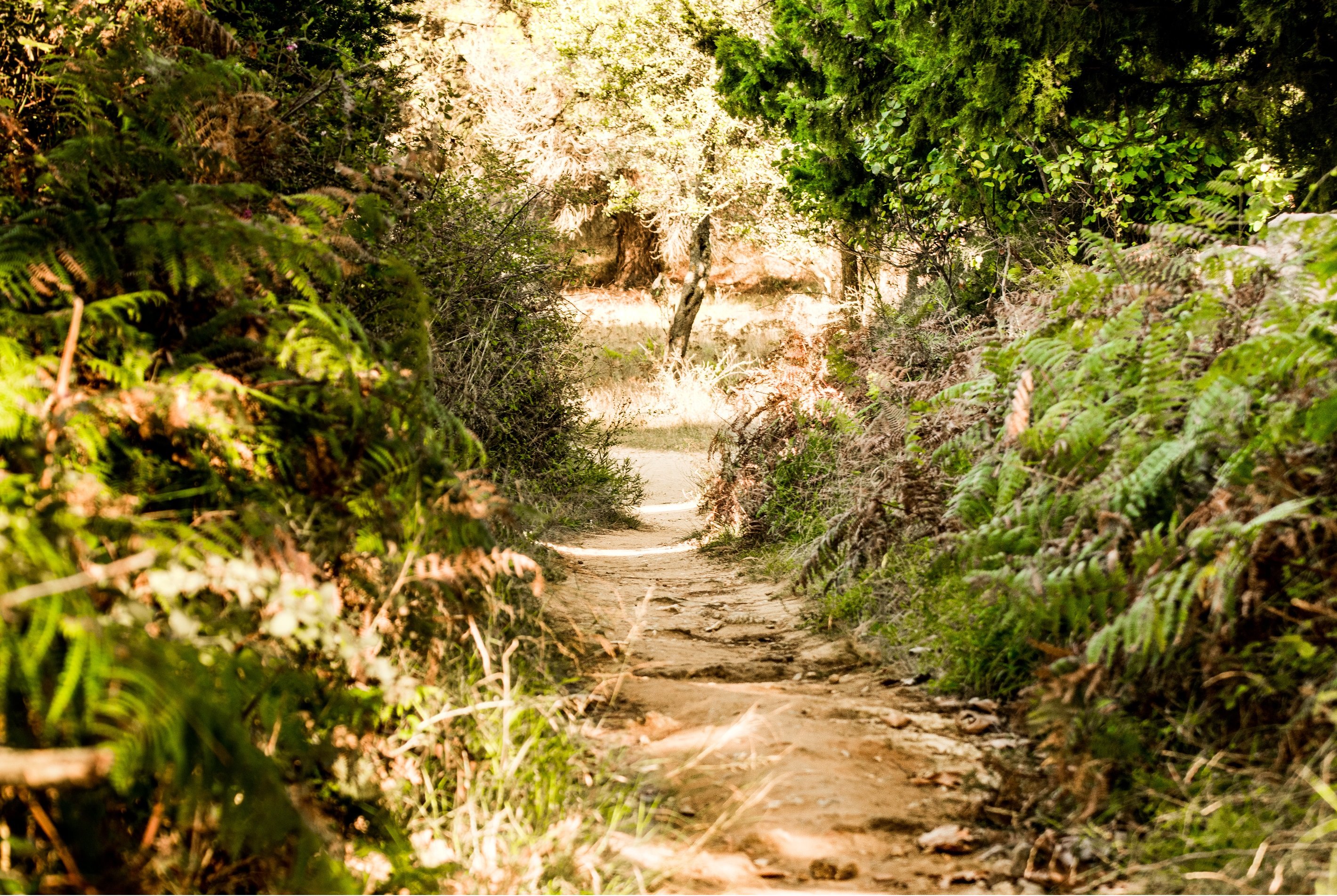 Thanos Studios & Apartments-浴室