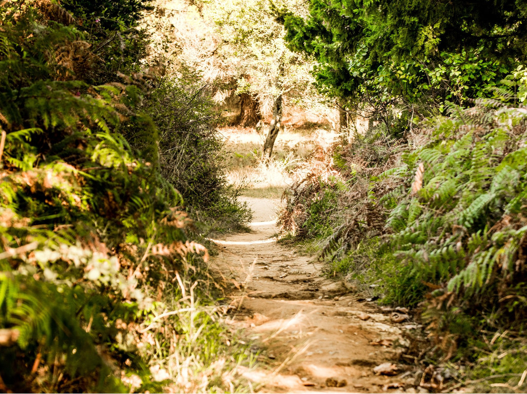 Thanos Studios & Apartments主图