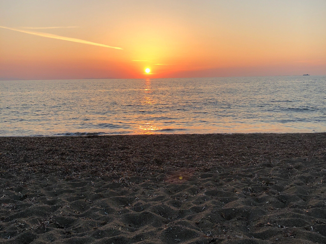 Spiaggia Naturista Nido Dell' Aquila Limite Nord