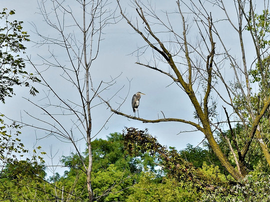 Lorain Port Authority-Lorain必去景点
